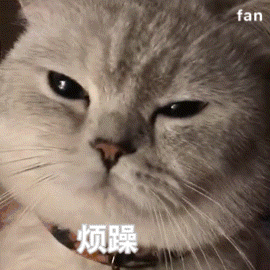 摩登兄弟  1.0+2.0+1.0 
