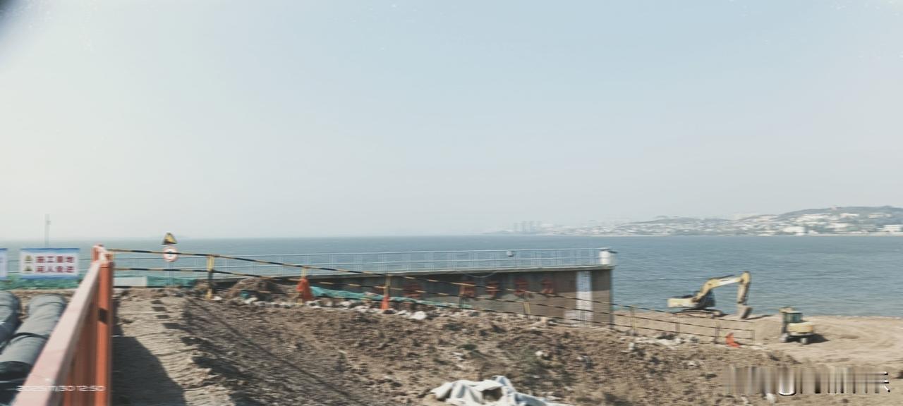 冬日的白龟湖风景别具韵味，今天湖畔风好大，吹得岸边芦苇沙沙作响。不过好在有冬日暖