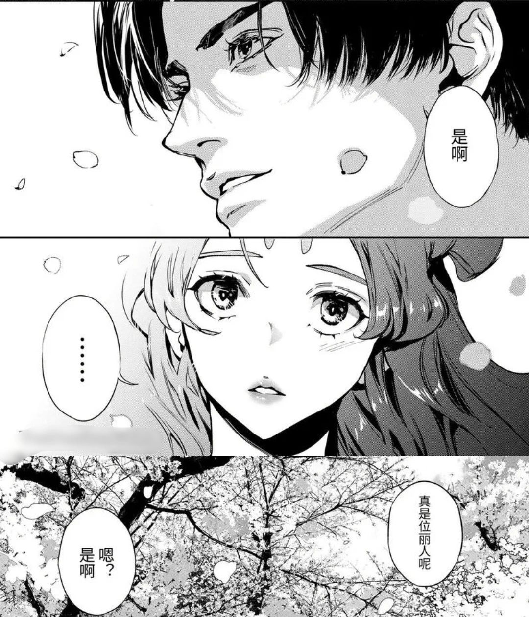 这本好看！！！