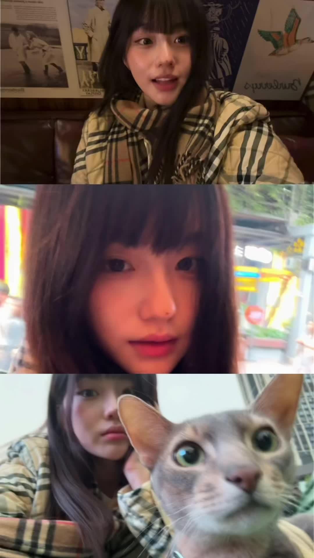 我们慢下来🐈‍⬛🍁"