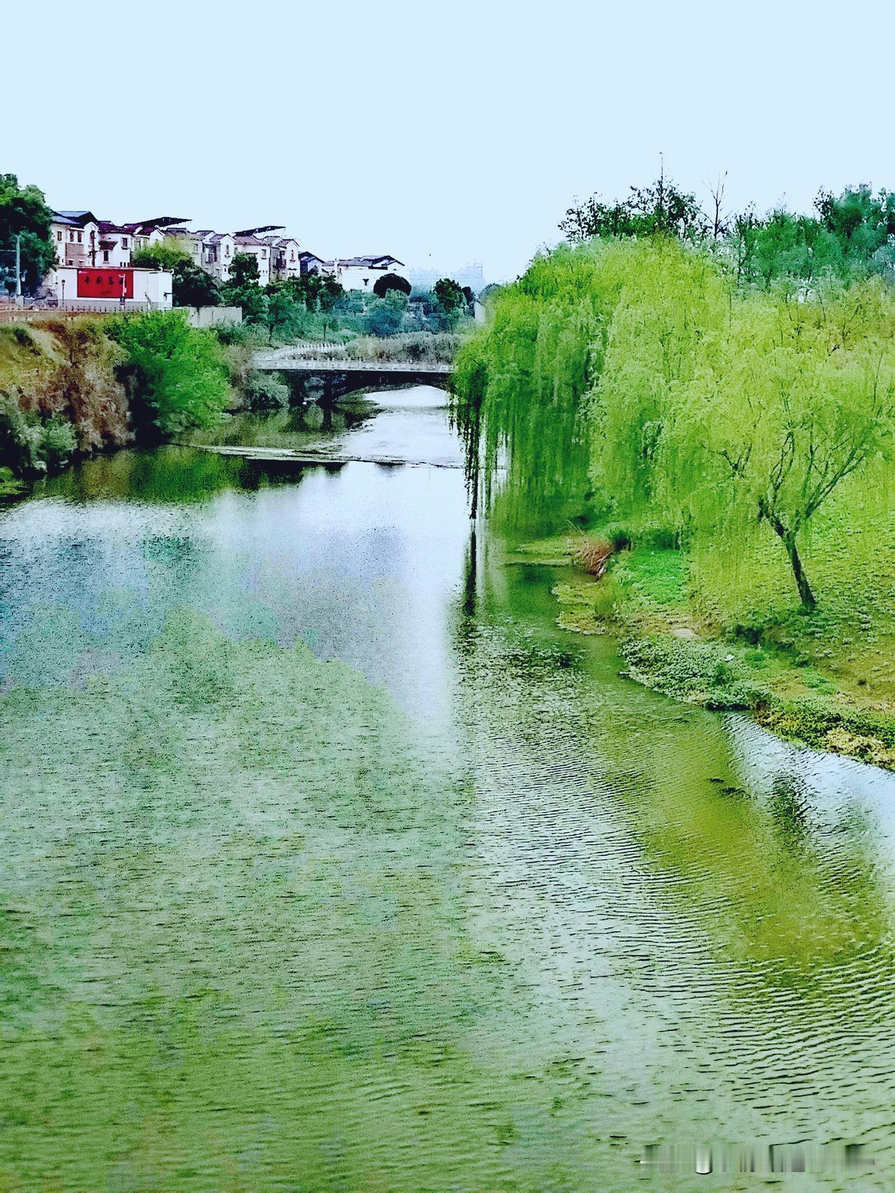 上联：岁自更新春不老
下联：花多增妍水长流
横批：春光永驻