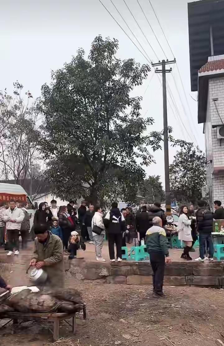 全网喊话帮忙杀年猪，结果来了上千人，小姐姐都懵了！

  最近，一位年轻小姐姐在