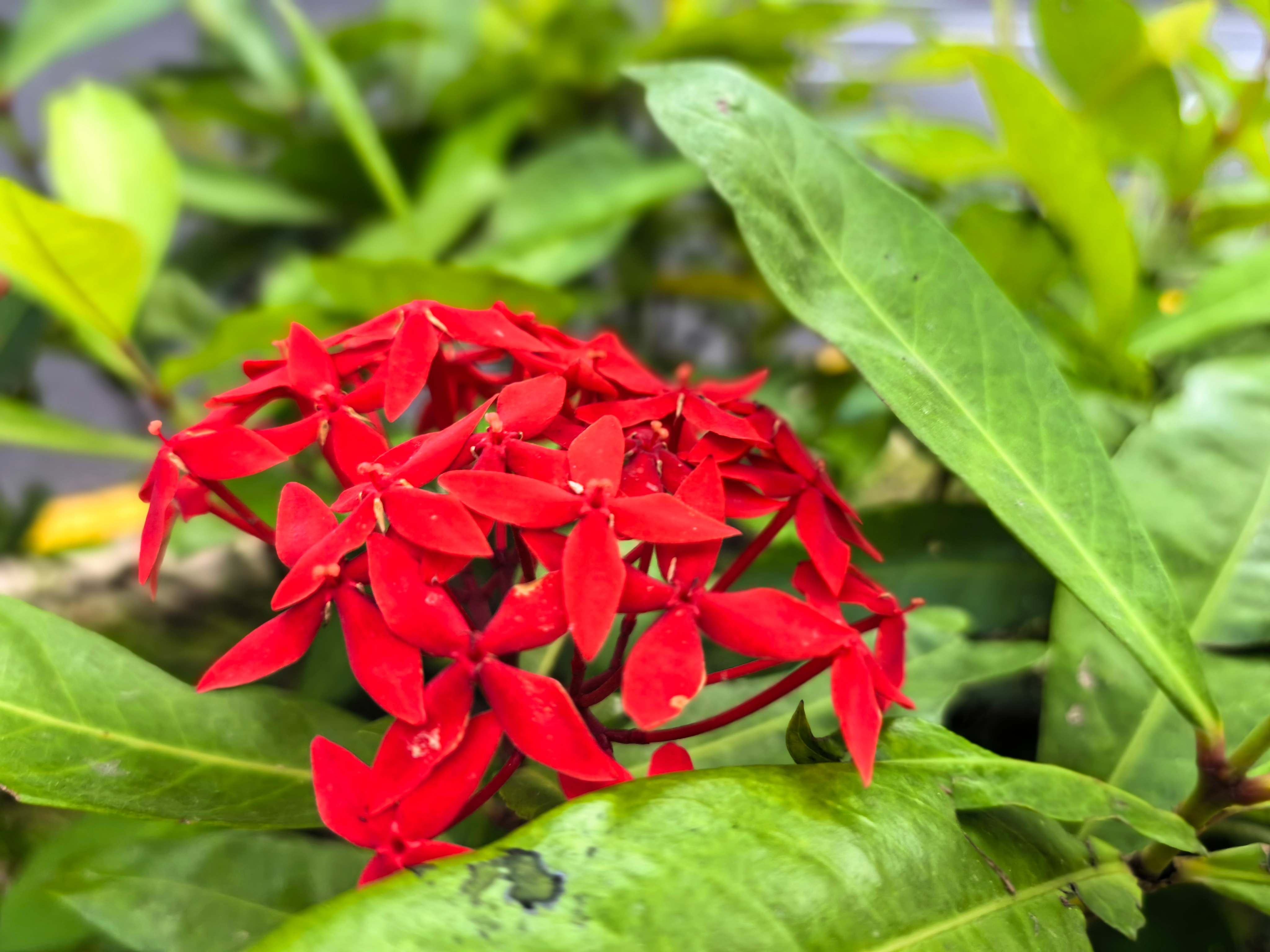 闲话投资1172孙子曰：故形人而我无形，则我专而敌分。个人随笔：1. 孙子强调兵