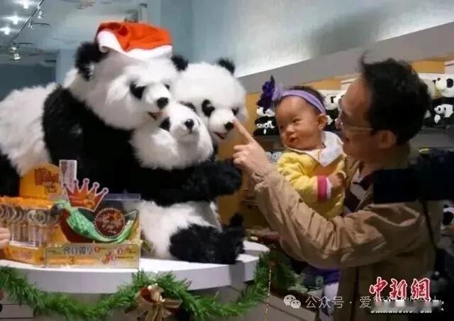 国台办警告.“台独势力胆敢把大熊猫当作媚日输诚贡品，必遭两岸怒火！”

近日，国