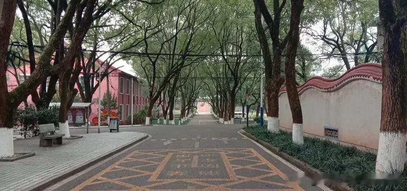 长沙电力职院：湖南电网直属专科，全国国网专科录用人数第一，分数专业全解析
 
湖