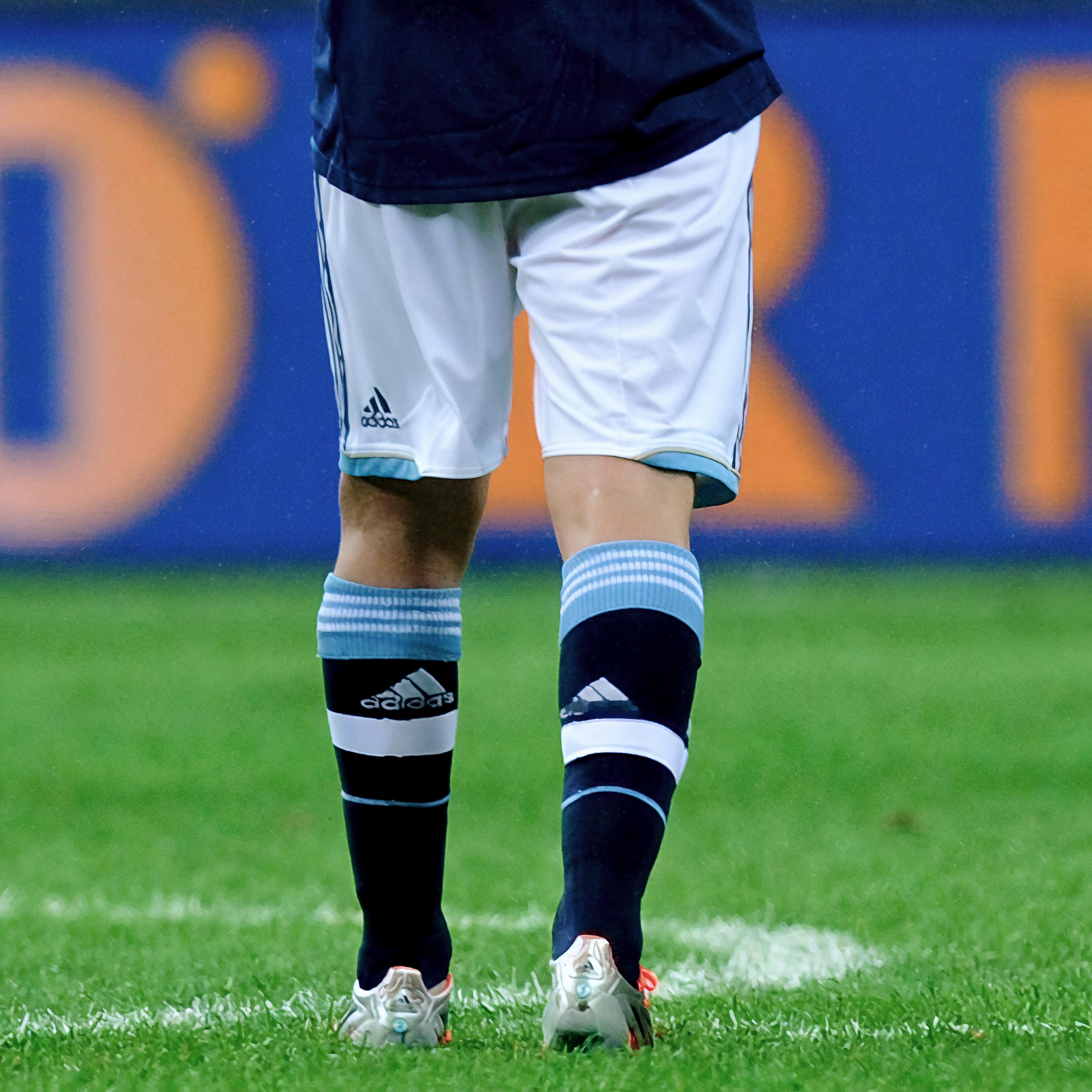 恋猪癖是什么意思 小生听不懂 小生只是恰好对羊蹄观赏略有几分心得 别管了 小生有