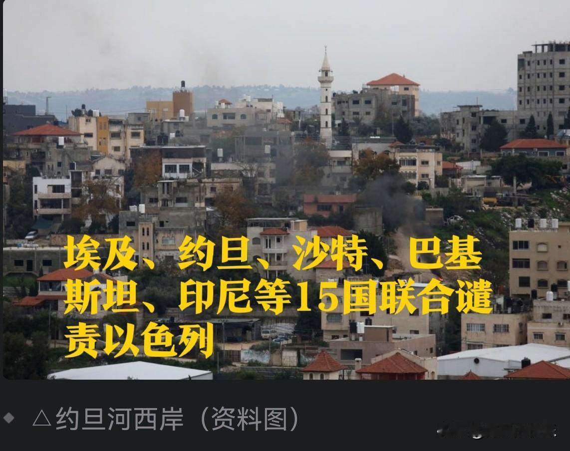 埃及、约旦、沙特、巴基斯坦、印尼等15国联合谴责以色列

   据外媒报道当地时