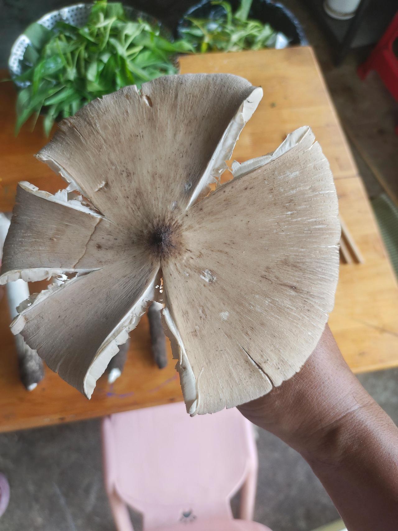 炖鸡的绝佳食材
