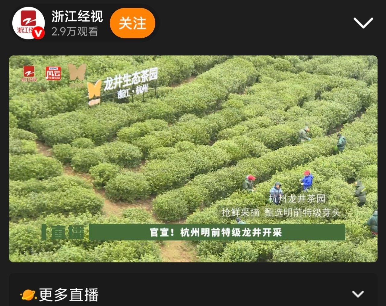 杭州龙井刚开采就被做成了奶茶今年春天第一口鲜，居然是通过奶茶喝到的，还挺奇妙的。