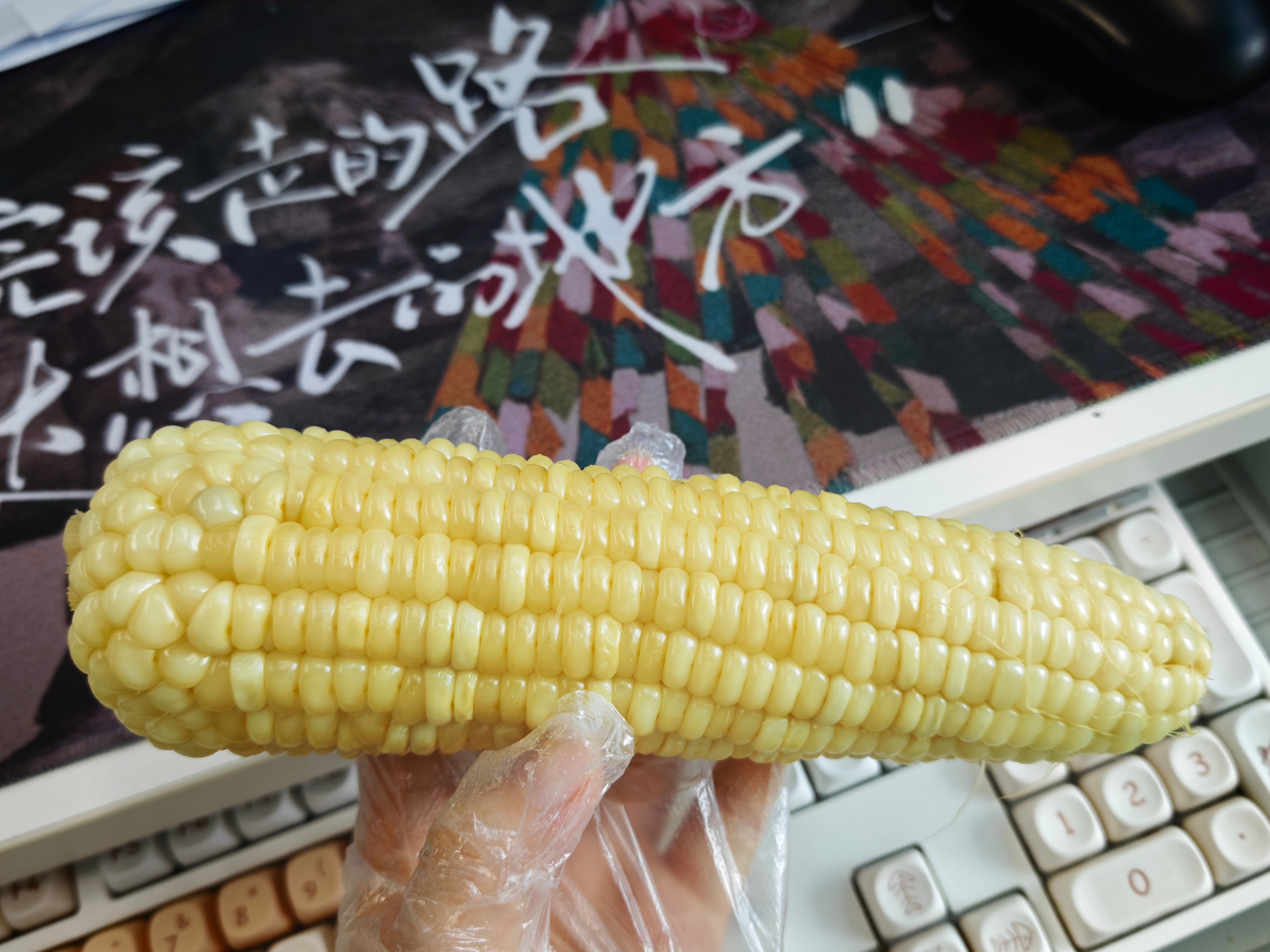 我们公司附近有个阿姨卖煮玉米，很好吃，我从2块钱一根，吃到了5块钱两根，到现在3