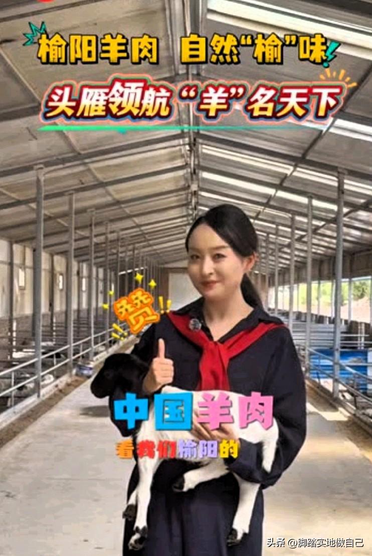 榆阳人注意！明天10点官方助农直播，正宗羊肉闭眼冲🔥
 
家人们！榆阳融媒第六