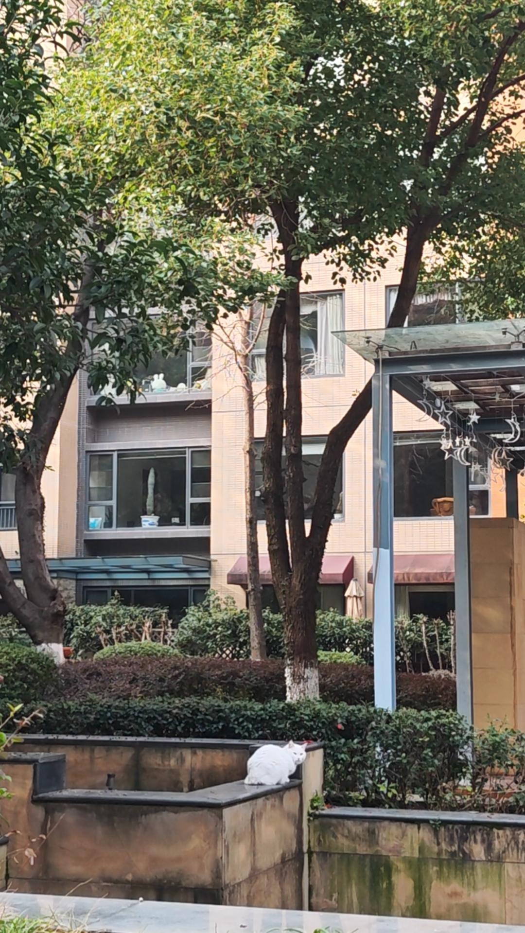 今天我休息！
连续工作了11天，终于可以躺平了。虽然我知道，晚上还有工作等着我。