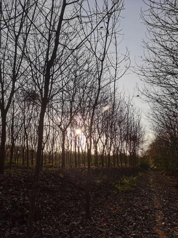 要说描写思念最动情的诗词，我首推柳永的《雨霖铃》。“执手相看泪眼，竟无语凝噎”，