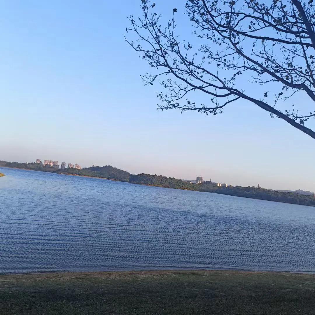 去年我来东莞上班的时候，天天十个小时，天天熬夜通宵，上十四休一，累得要崩溃，准备