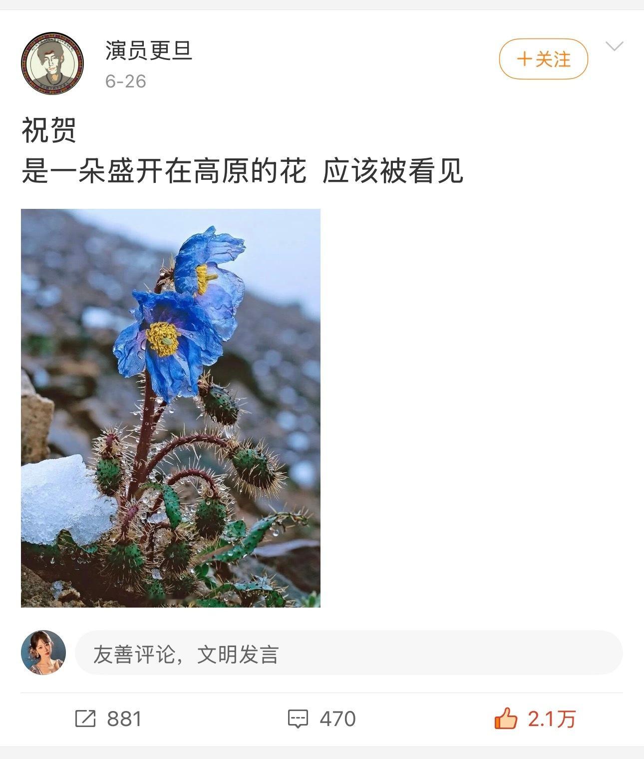 一直更喜欢桑巴一些，很浪漫💕 