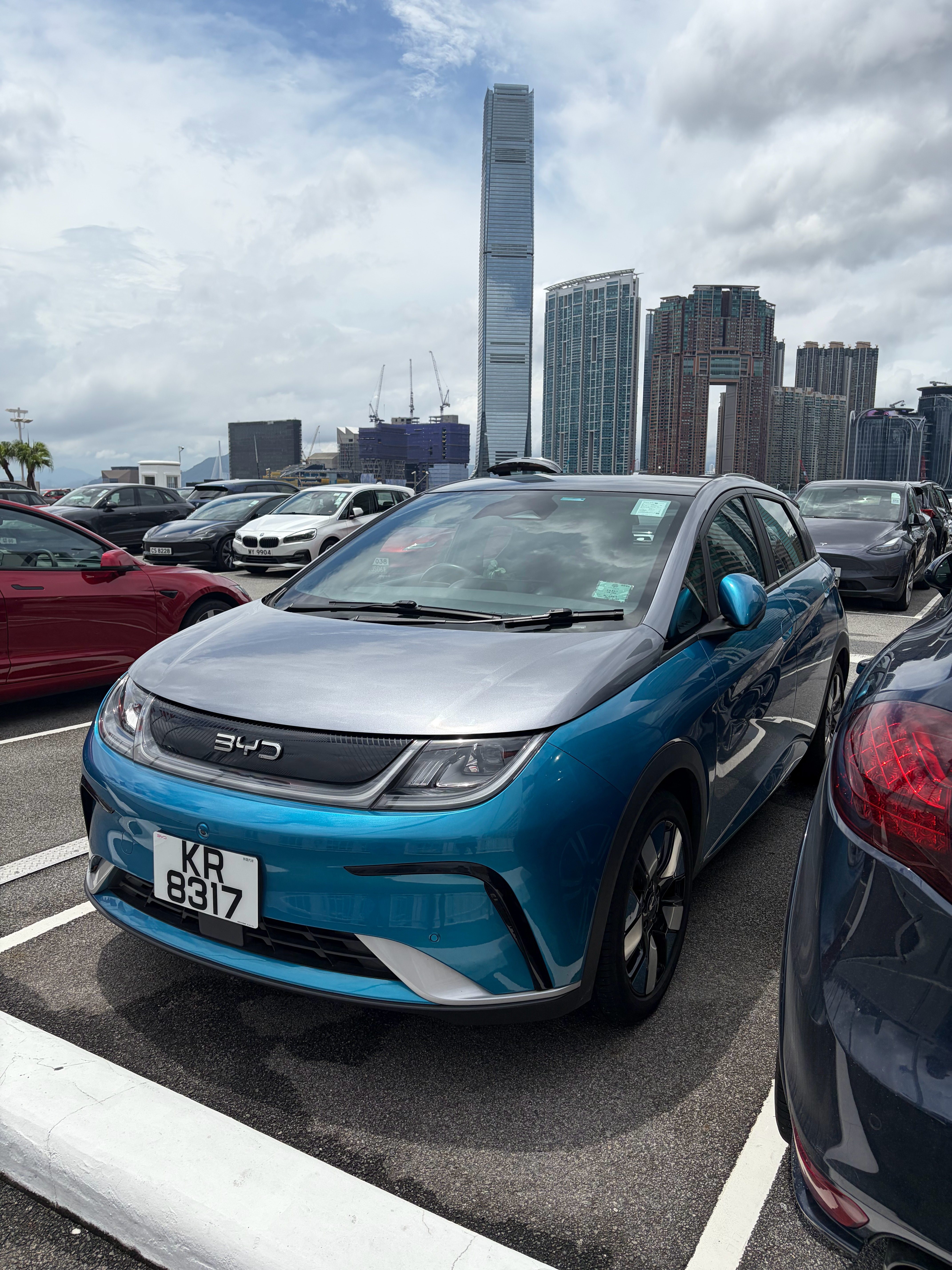 东风纳米06、纳米01，比亚迪海豹、海豚，菲亚特500e电动、现代IONIQ 5