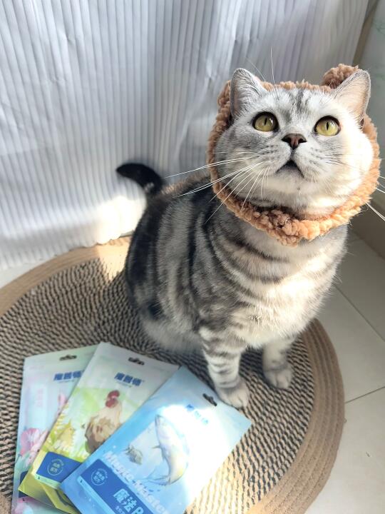 挑食~不存在滴！