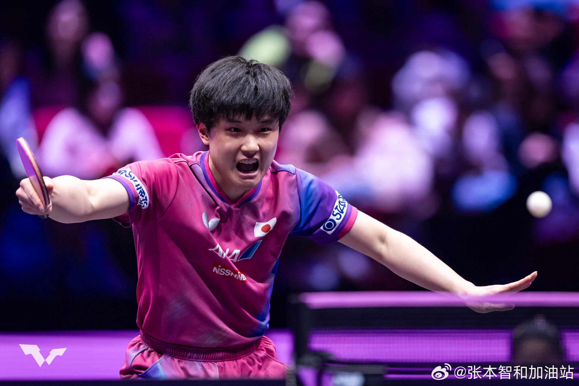 wtt重庆冠军赛2026张本智和 半决赛 比赛情况。【日媒】“《张本智和在完全客