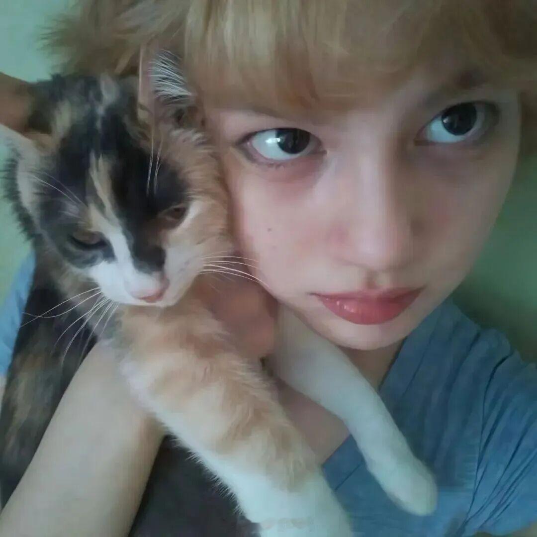 女生头像合集｜没有义务为你有情绪波动💫网感女生头像 氛围感 可爱头像 高清头像