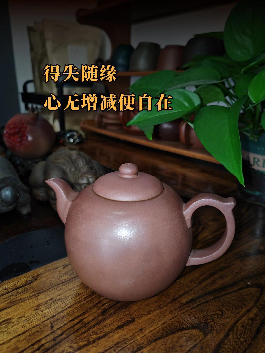 我为你准备了整个春天，你却永远停在了下雪的那天紫砂壶 怀旧