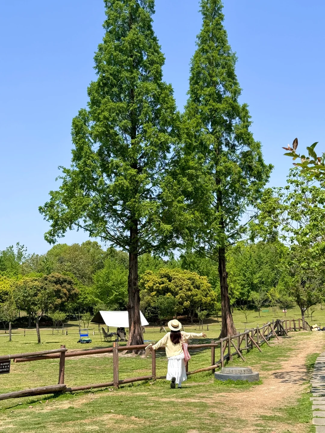 成都！唯一想去无数次的露营公园（野餐篇）🧺