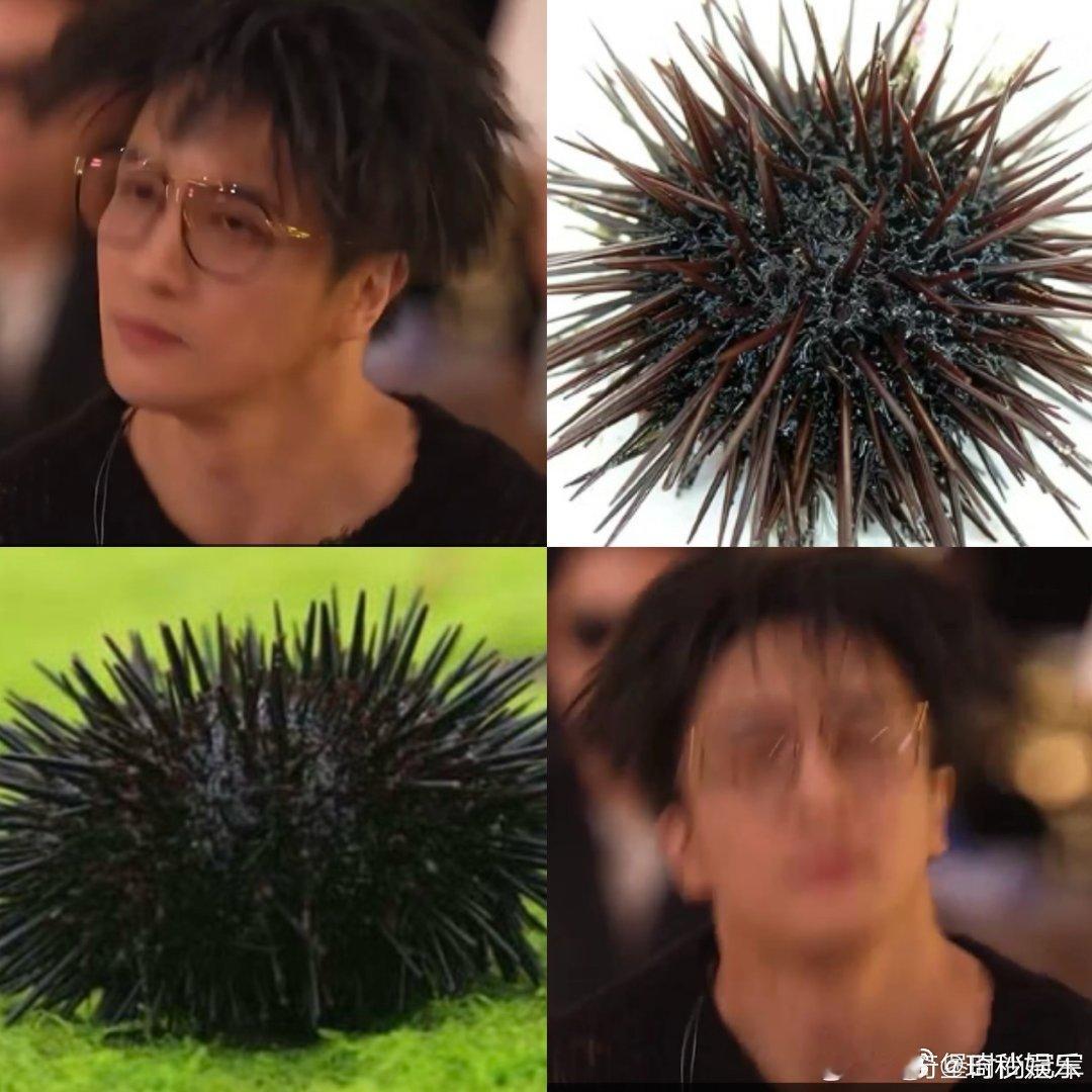 #薛之谦把自己摇成了海胆#薛之谦生动诠释了什么叫做沉浸式听音乐，面对现场如此嗨的