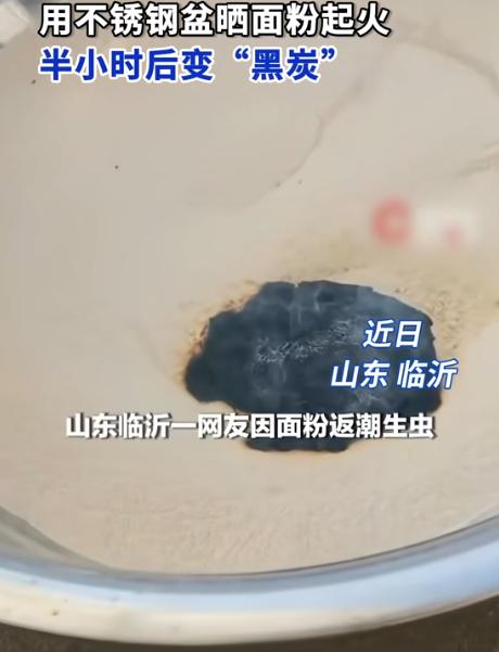 无知者无畏！都市报道7月23日报道，山东临沂，一网友发现面粉受潮长虫子，打算倒进
