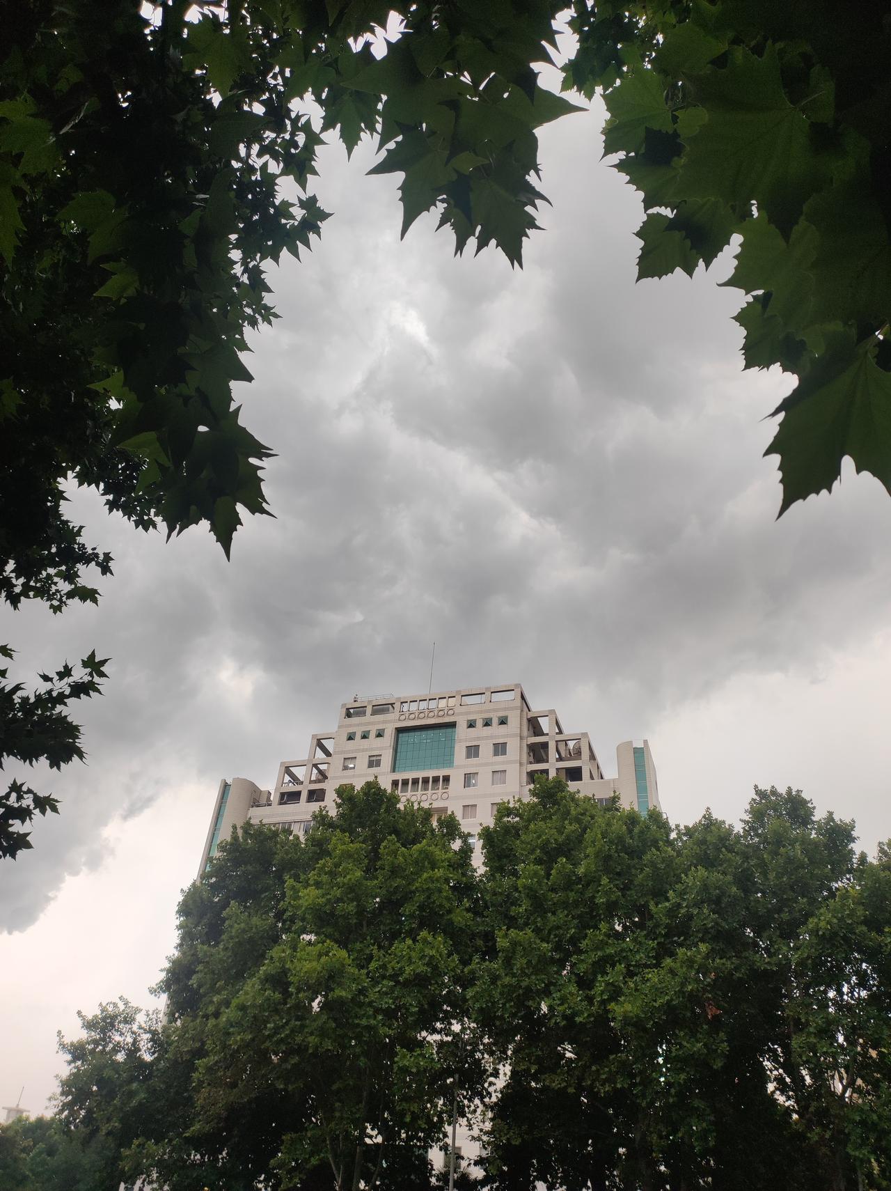 今年的雨水太多了，好不容易晴了两天，又乌云密布，大雨滂沱。路边的狗尾巴草，长疯了