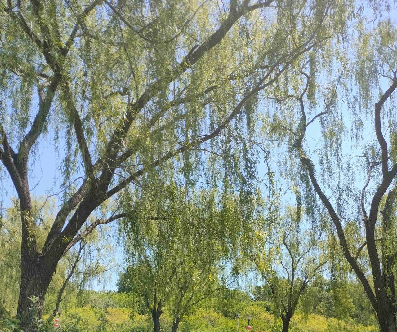 我的今日状态：💰期待暴富
我这里的天气：☀️晴天