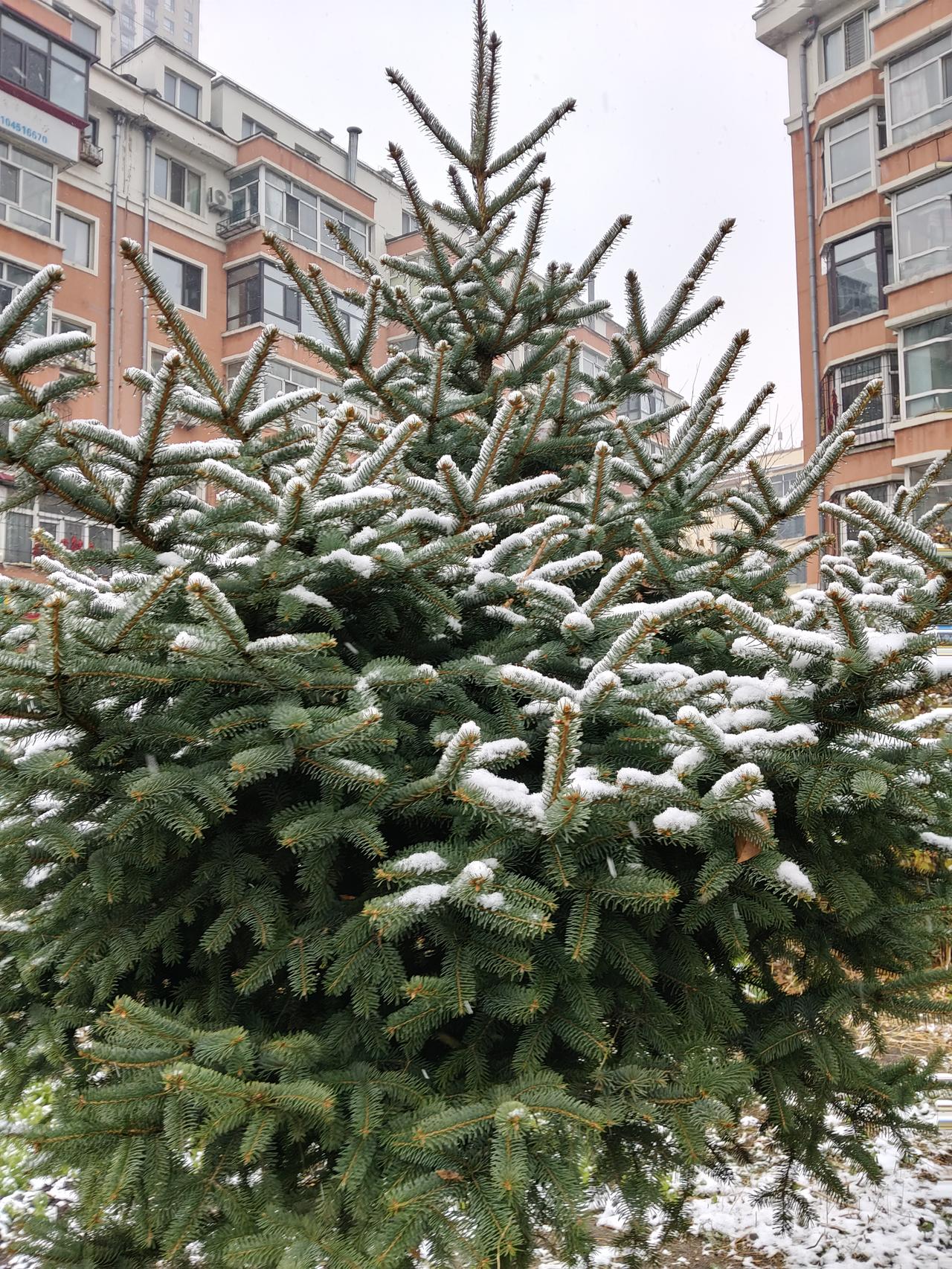 感觉自己被限流了！！

真的是自己一不小心，参加了一个征文，没想到不符合首发规定