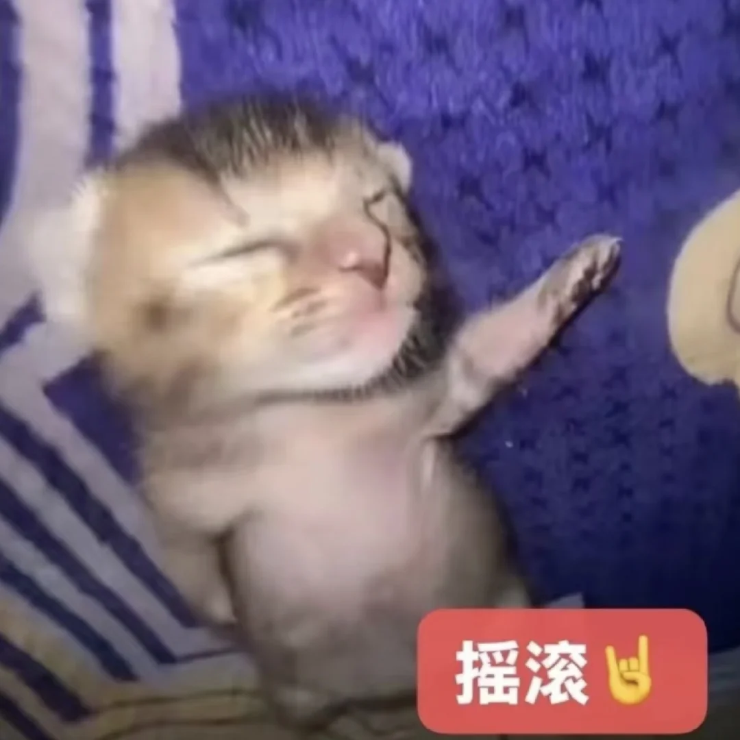 为了学英语关注我的粉丝宝宝请进