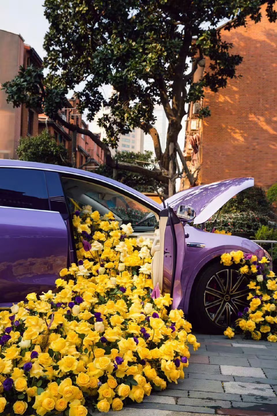 妇女节快乐！ 妇女节妇女节快乐