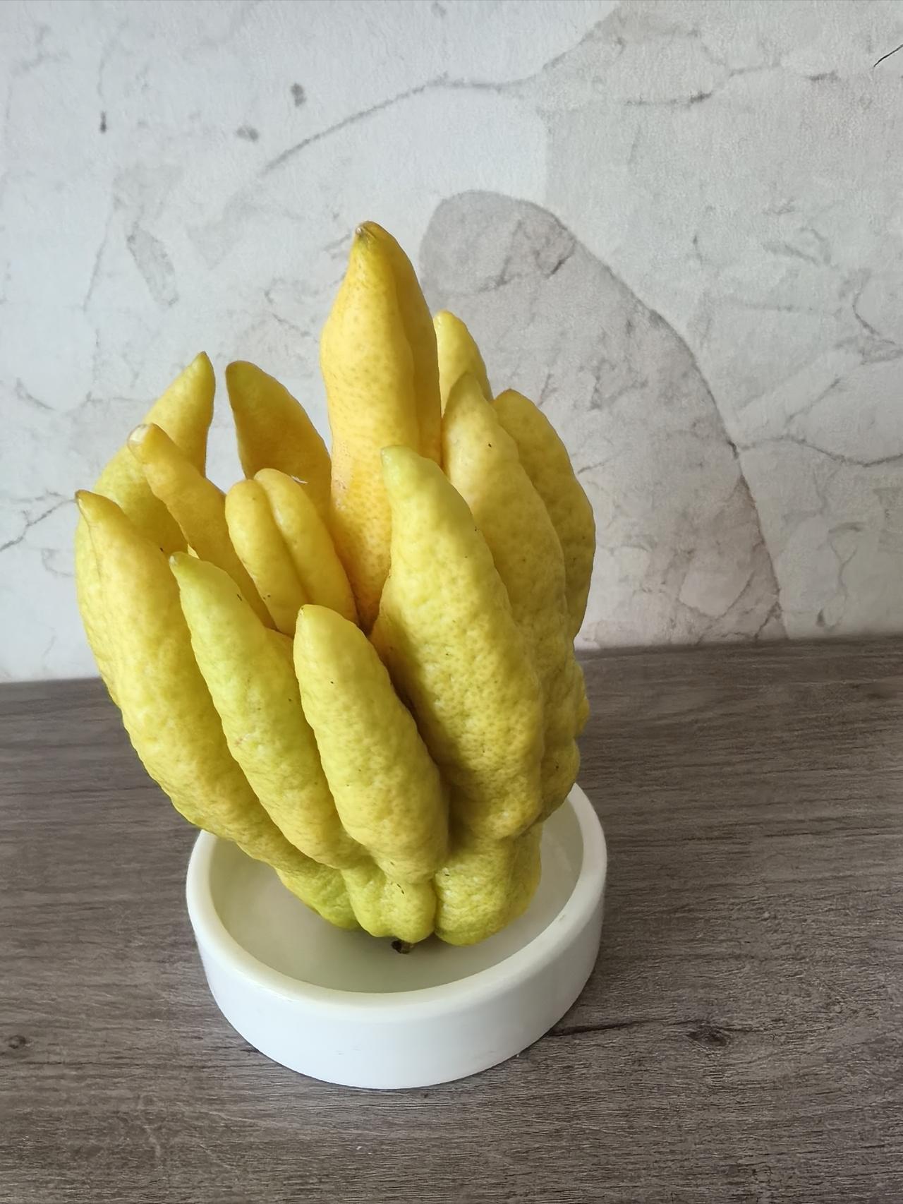 福守
      这个东西摆在家里实在是太香了，天然的香薰，满屋子散发着淡淡的幽