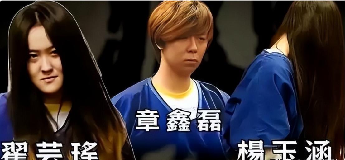 最近网上又有人翻出罗兰岗霸凌案，还称当年的主犯翟芸瑶已经改名回到北京，出现在三里