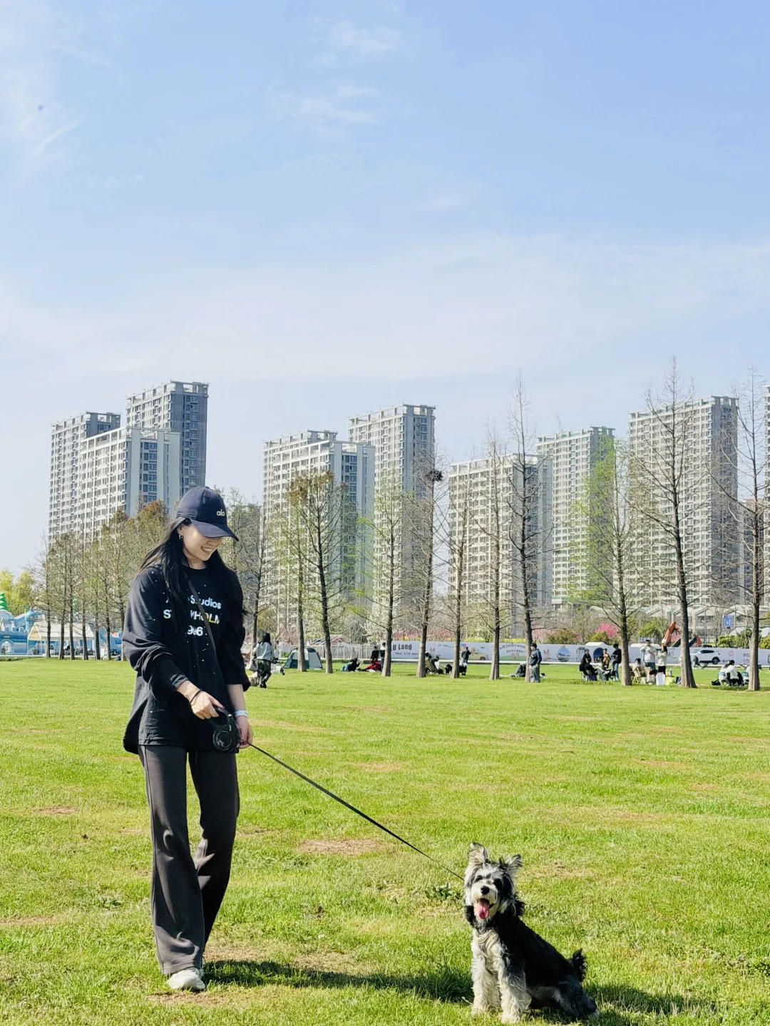 今天有在认真遛狗🦮南京雪纳瑞聚会