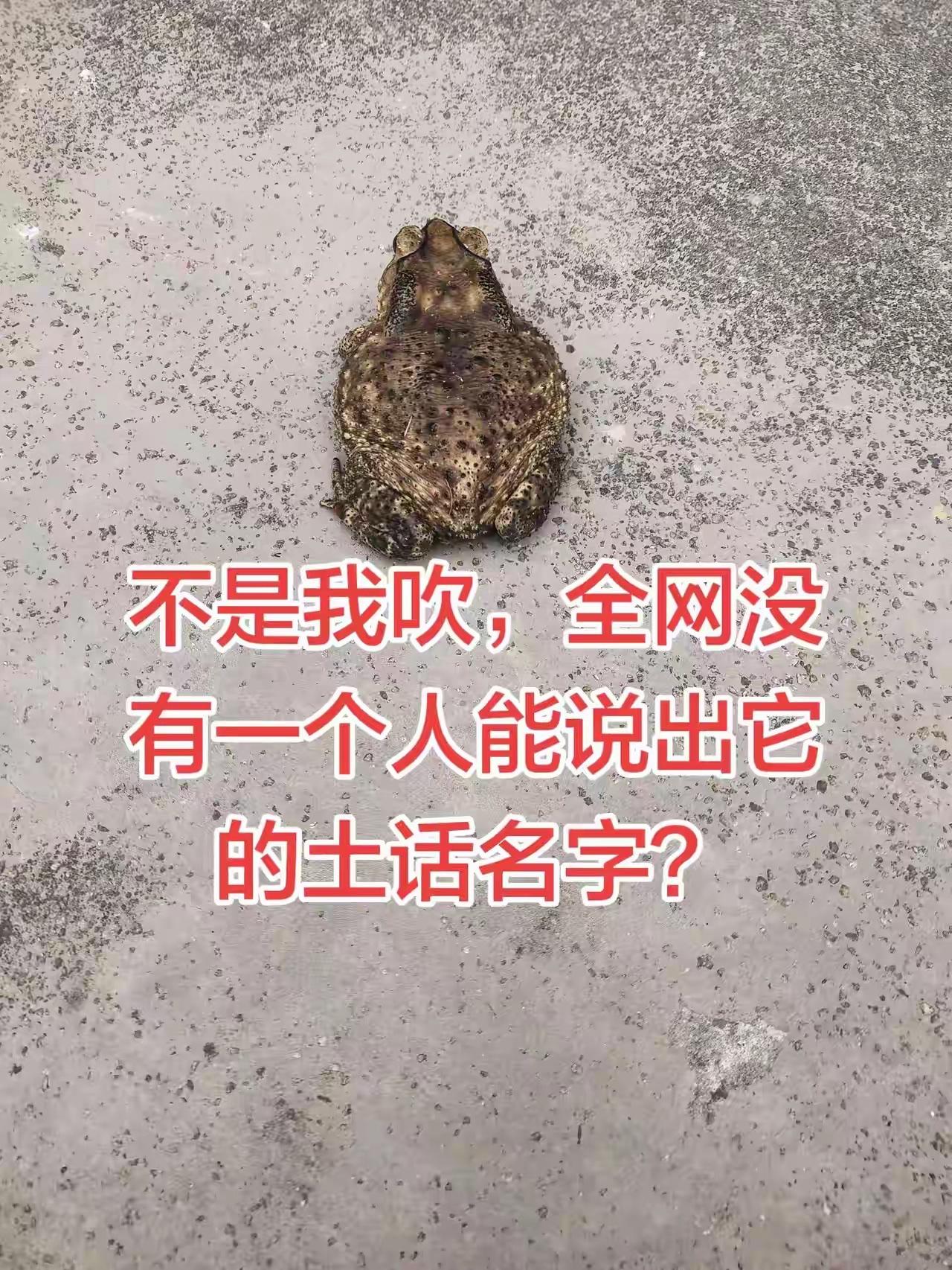 听说全网的称呼都不一样，那么用你家乡话来说，它应该叫什么名字呢？全国方言叫法 地