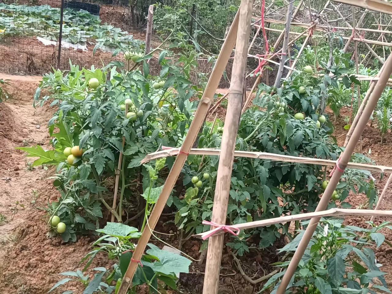 72岁发现：越来越多老人有这样的想法，如果将来只剩下一个人，就按这6条活，周三看