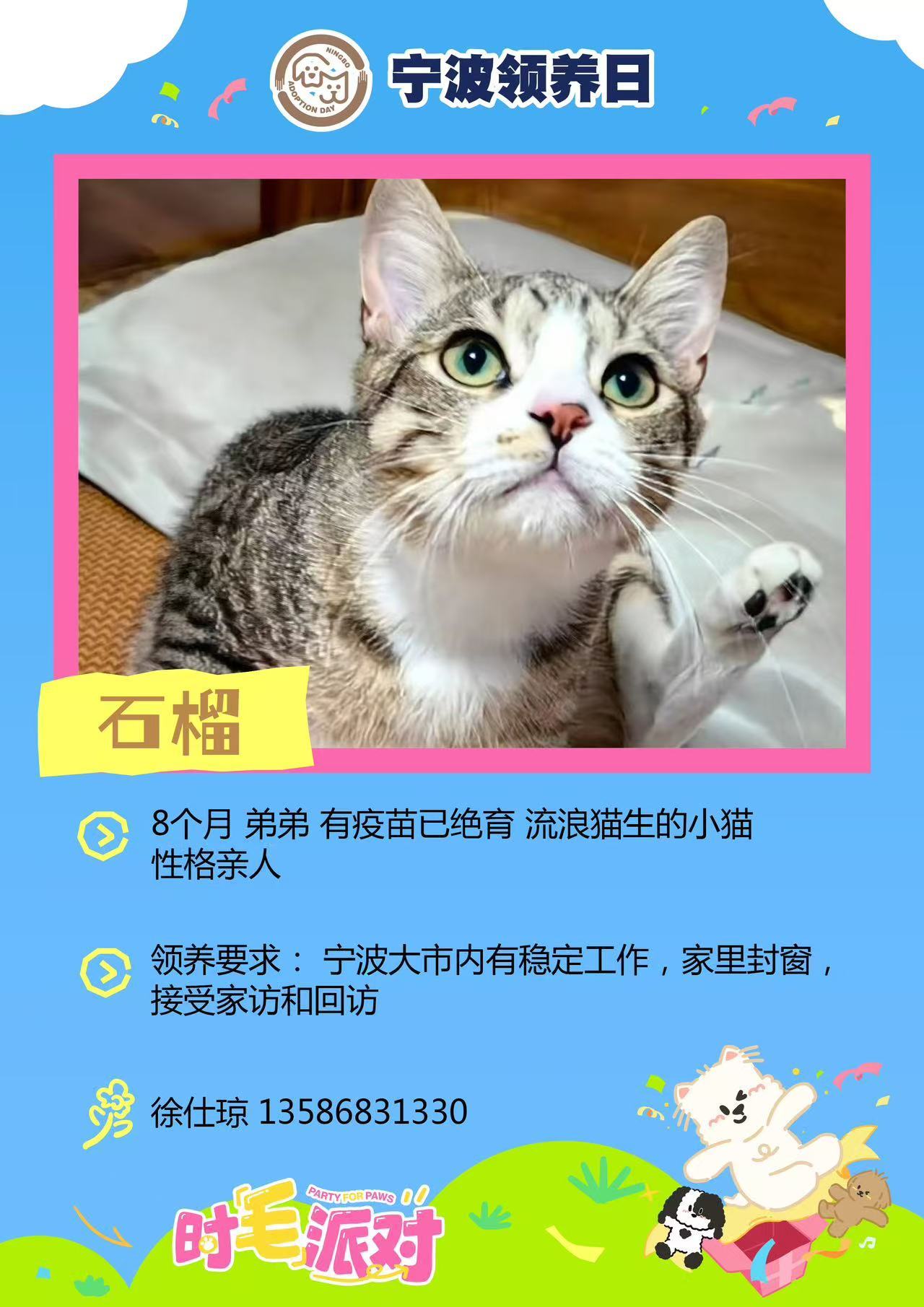 宁波领养日纳凉领养夜 时毛派对！宁波领养日纳凉领养夜宁波文化广场🐱🐶7月24