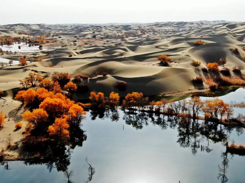 美专家：中国不可怕，可怕的是中国塔里木盆地下藏着地下海洋！

这可不是瞎说，这片