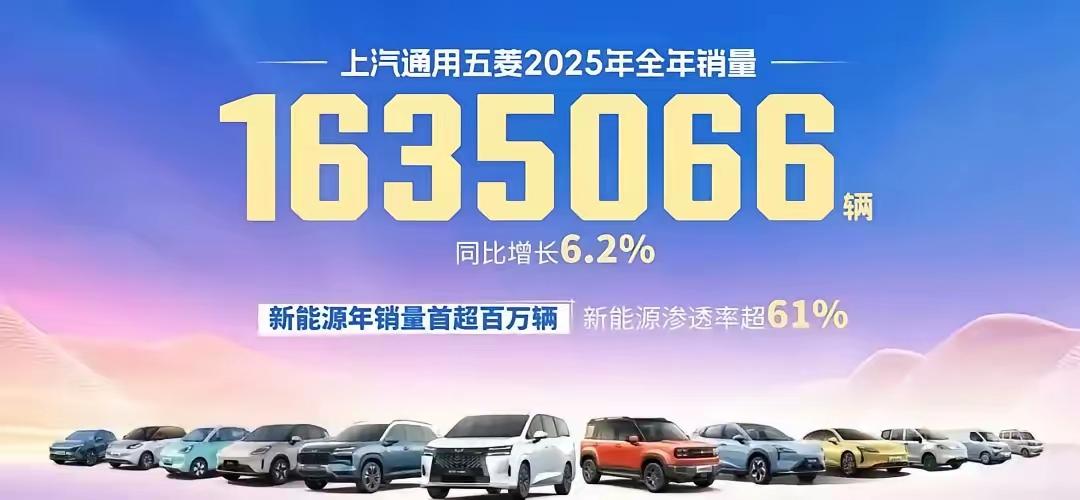 伤害性不大，侮辱性极强！新能源汽车最大的黑马不是零跑，更不是赛力斯，而是五菱！