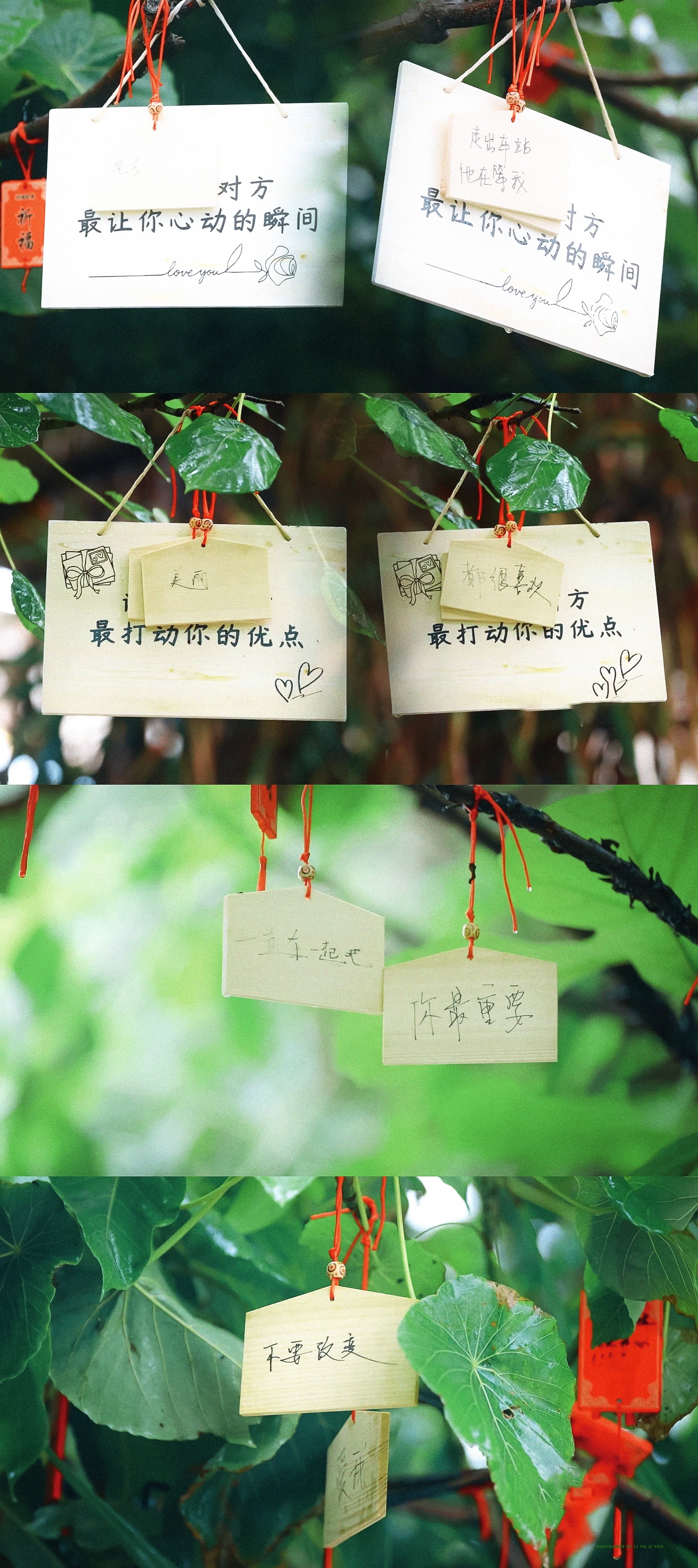 陈异苗靖永远在一起💍 