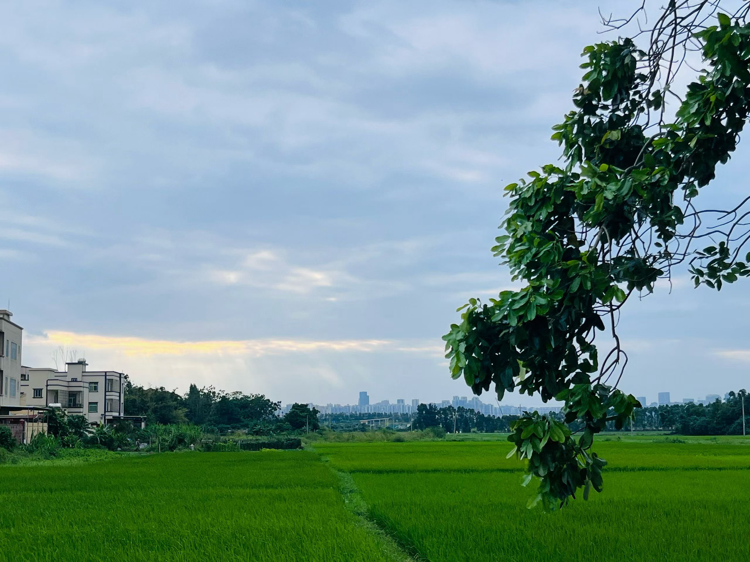 今天的风是32°C🍃🍃 ​​​