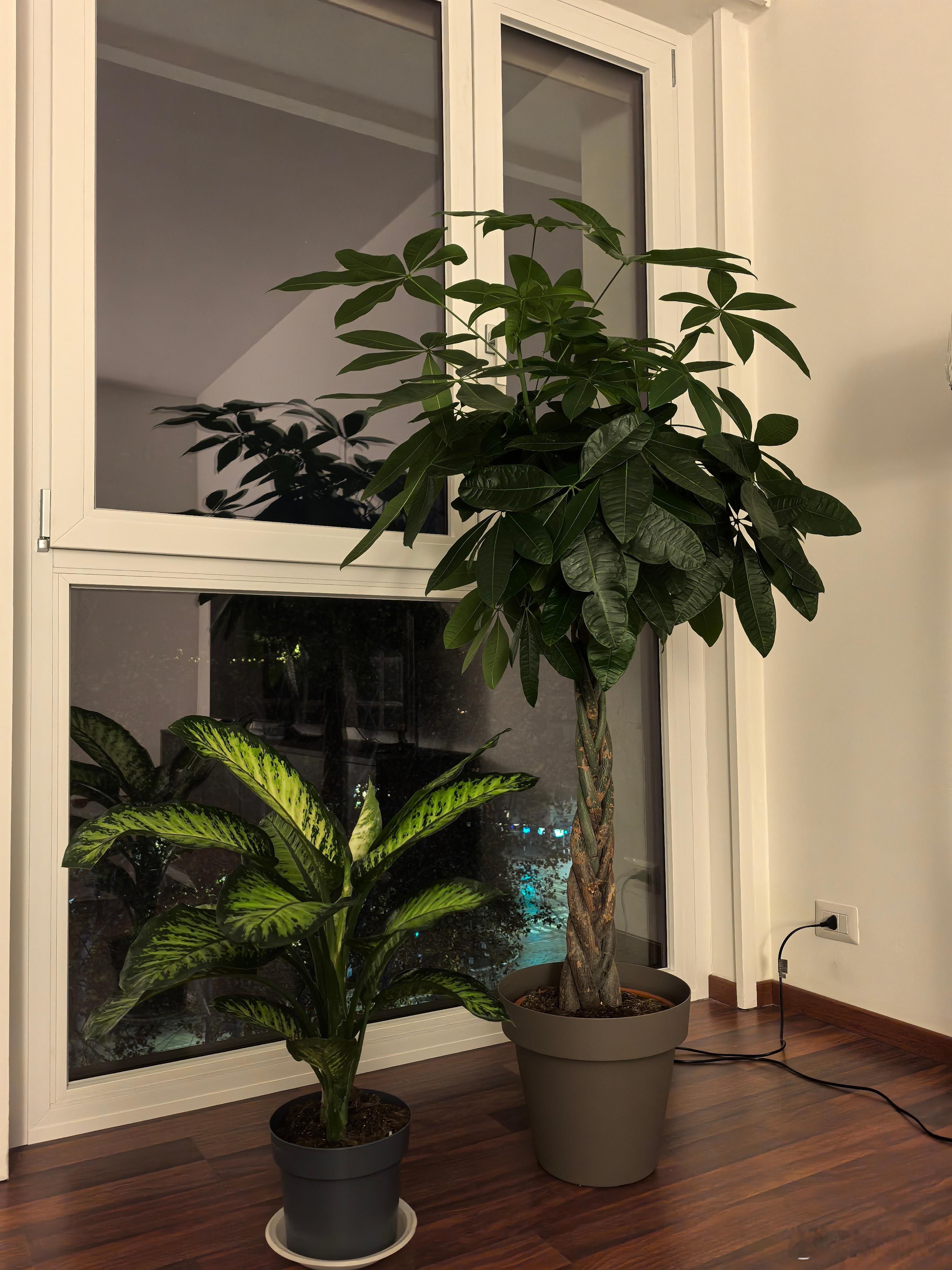 感恩姐妹们，与你们同行，我何其有幸！ 