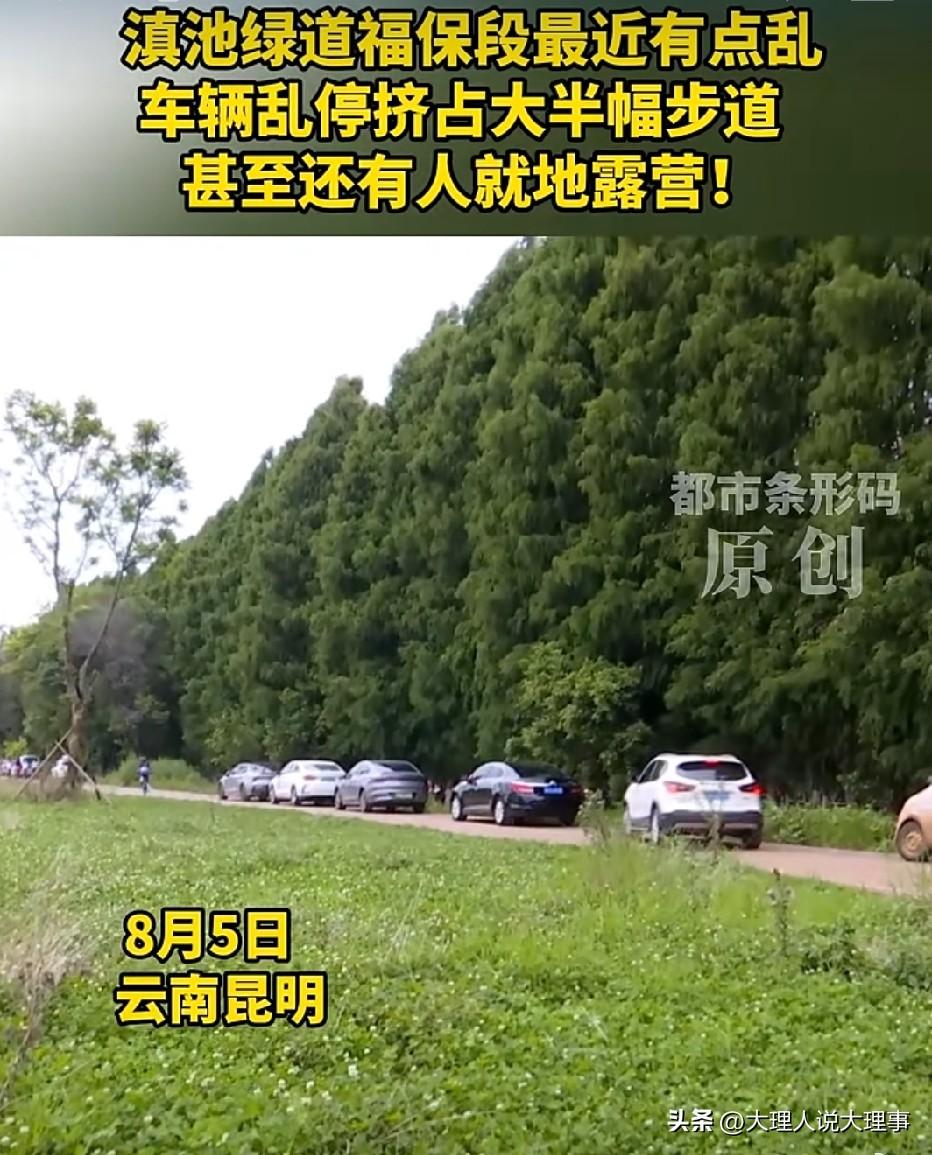 昆明滇池绿道福保段近来简直混乱不堪！到现场一看，机动车与电动车杂乱无章地停在绿道