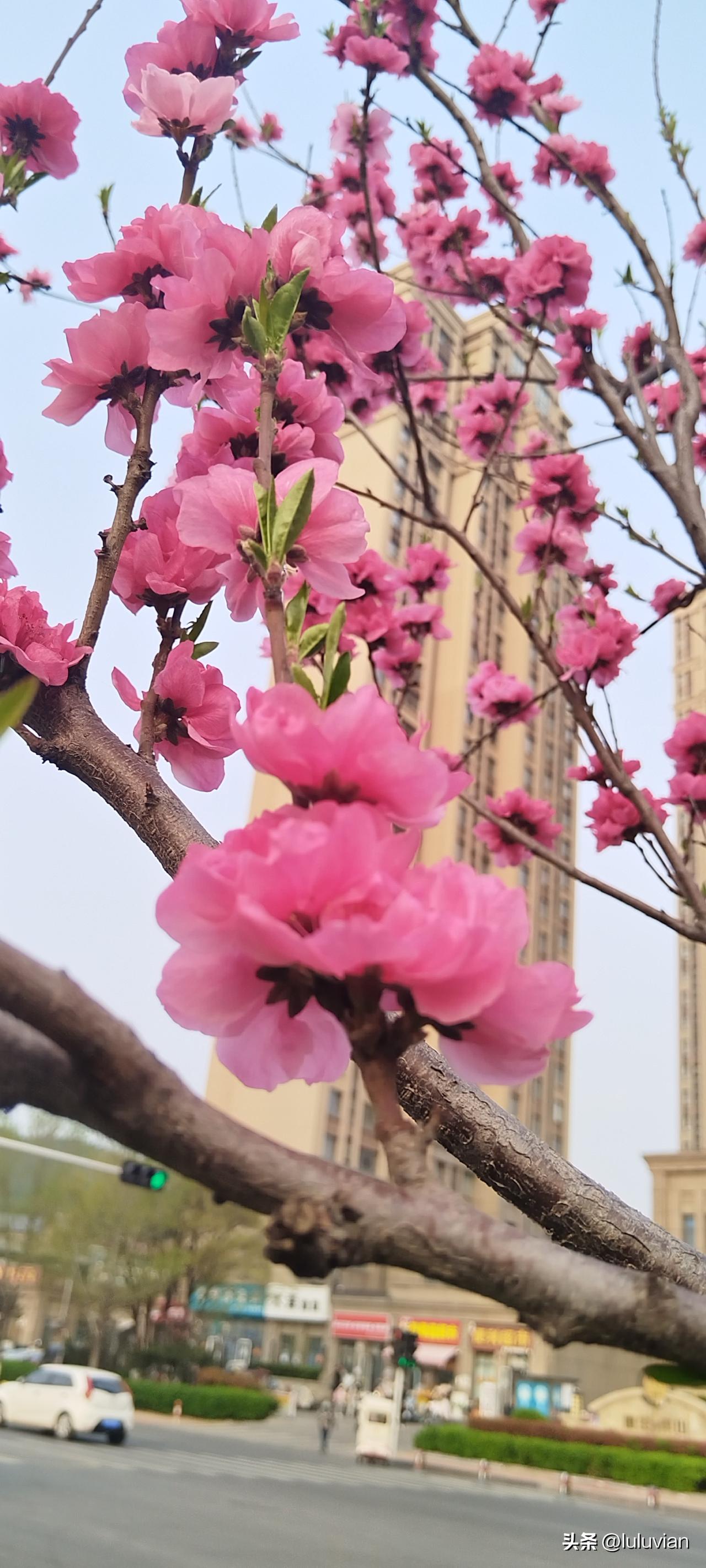 记录一次小小的胜诉：诉讼前多咨询很有必要，但更重要的是自己要做足功课，要有维权意