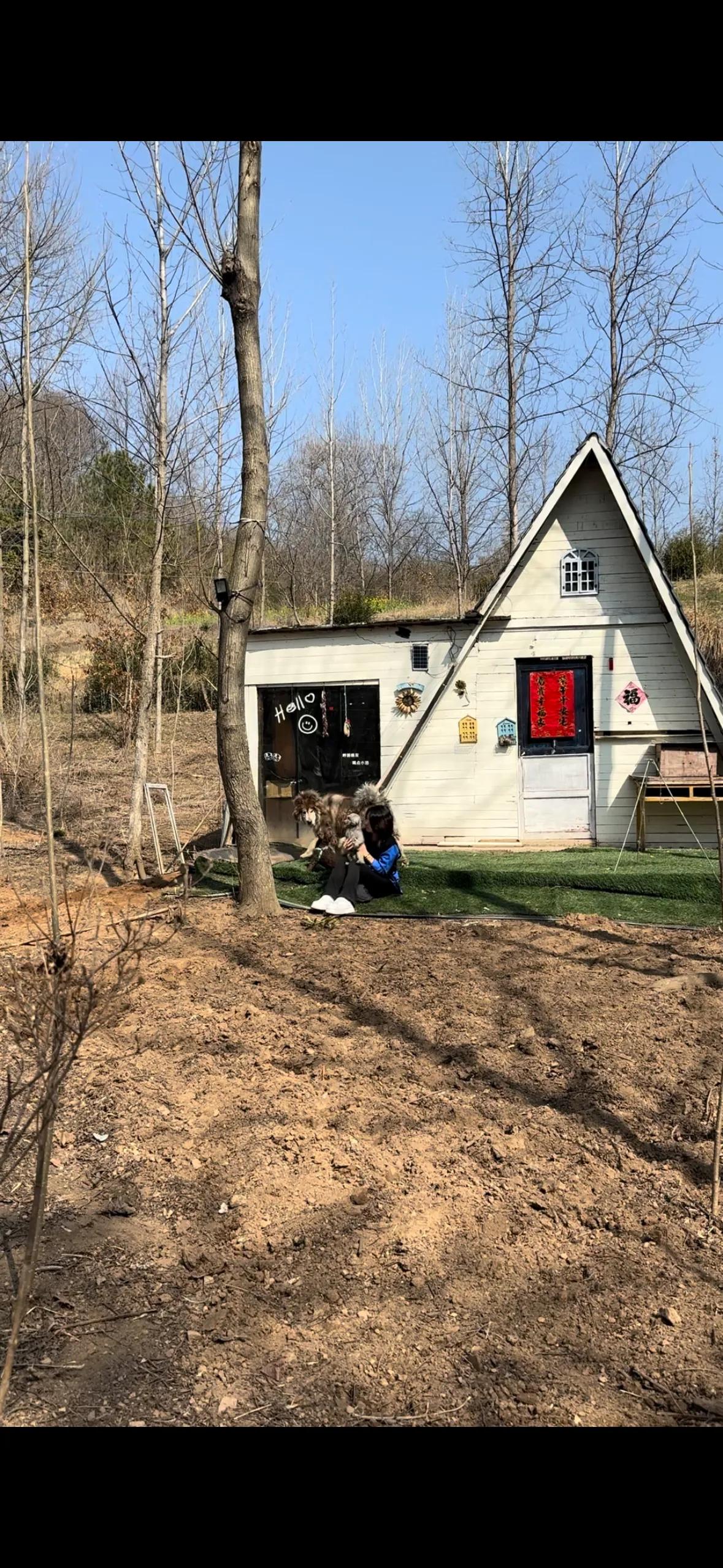 大山小木屋，开启我的养殖致富梦🌲

宝子们，我终于实现了在大山里盖小木屋的梦想