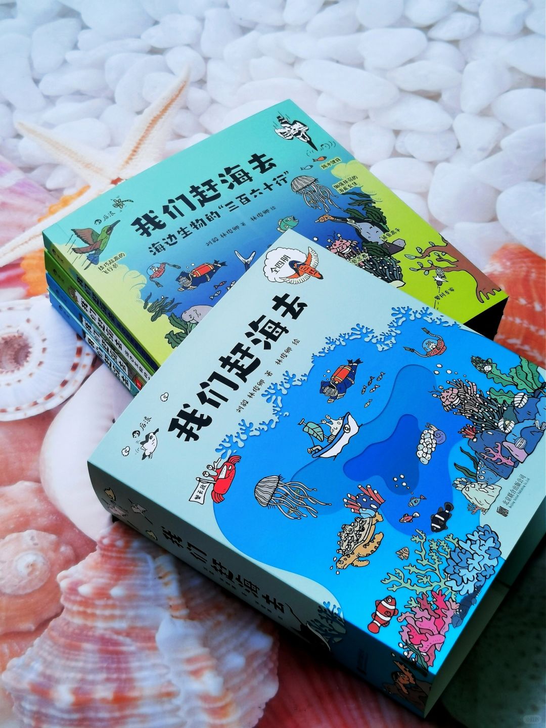 一起赶海去，感受海洋世界的欢乐！