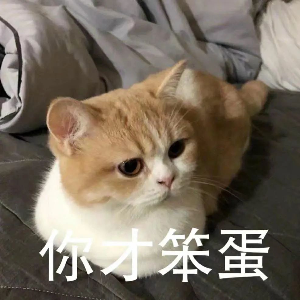 原来过度运动可能会导致变笨短暂高强度运动问题不大，长期持续过度训练，会持续消耗神