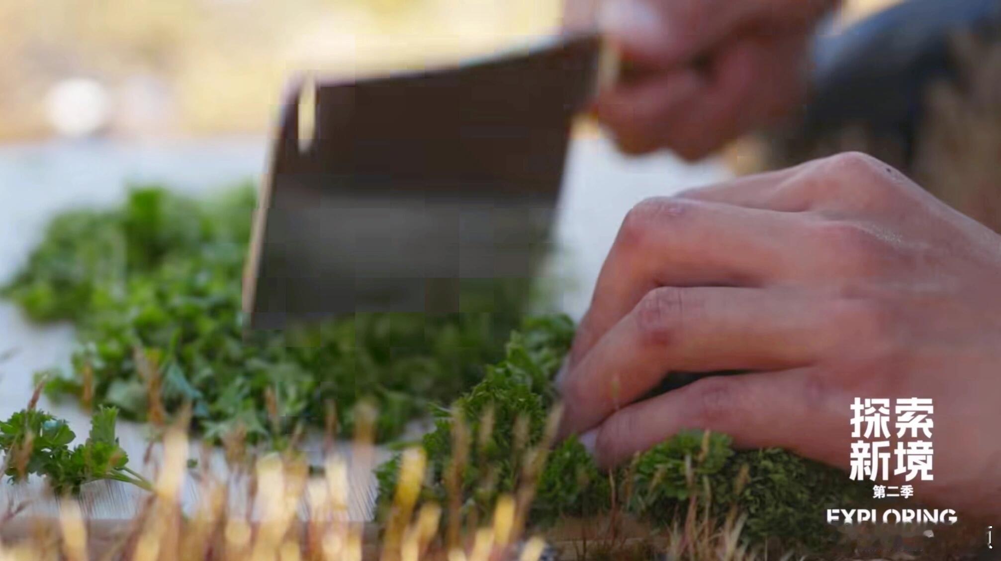 王一博吃个海鲜斧子都用上了，这操作真的惊到我了，见刀砍不利索就换斧子，全程霸气十