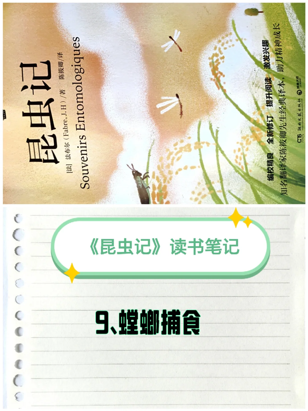 《昆虫记》笔记（9）：螳螂捕食